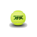 Dunlop ATP Tennis Balls 3-in-1